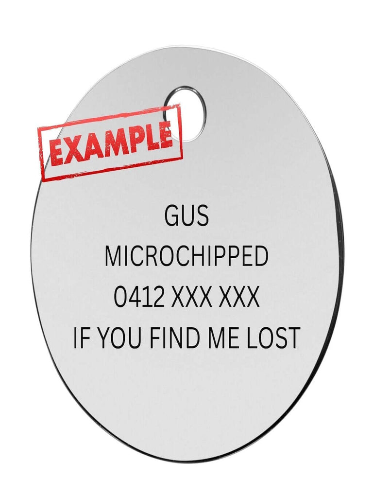 Essential Guide to Dog Tags: Key Info for Your Pet's Collar