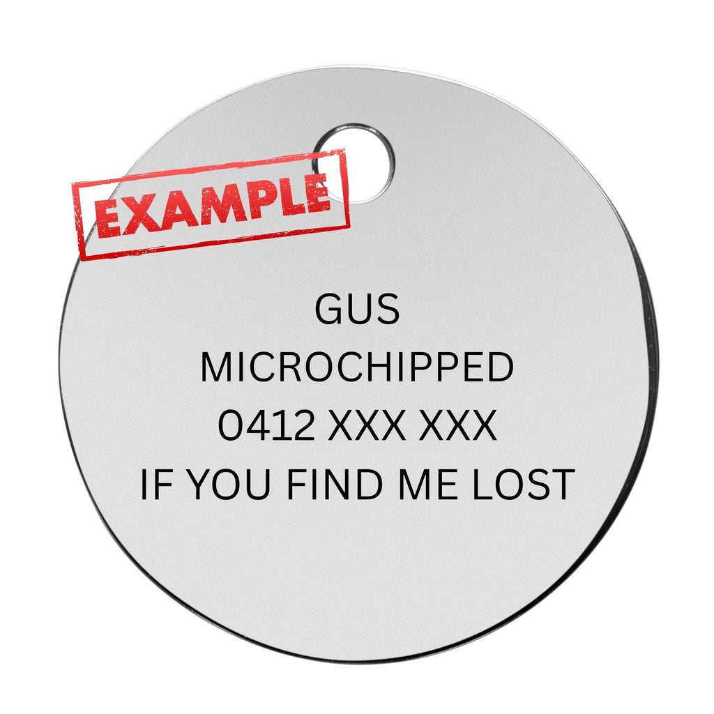Example of engraved Dog ID Tag
