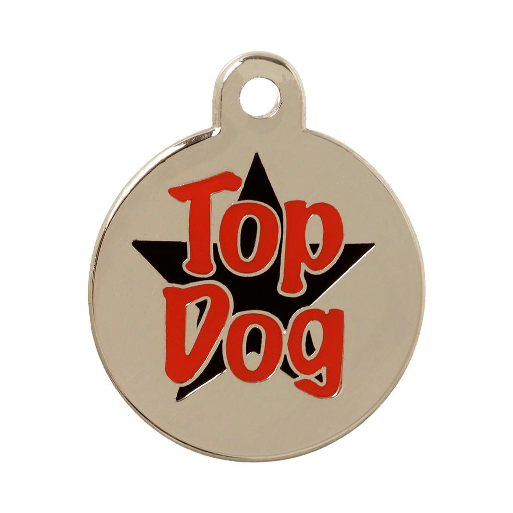Should You Put Your Dog’s Name on Their Tag?