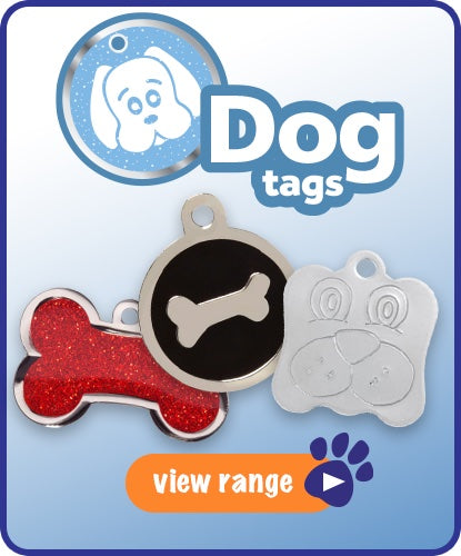 Our Favourite Pet Tags For Dogs