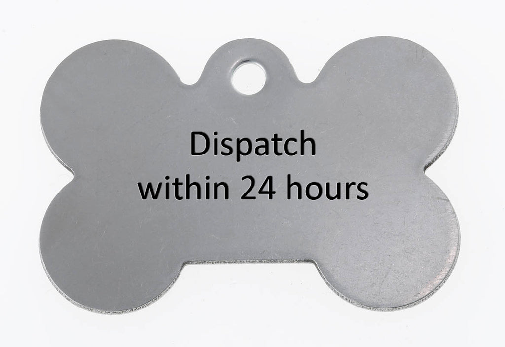 Stainless Steel Bone Dog ID Tags