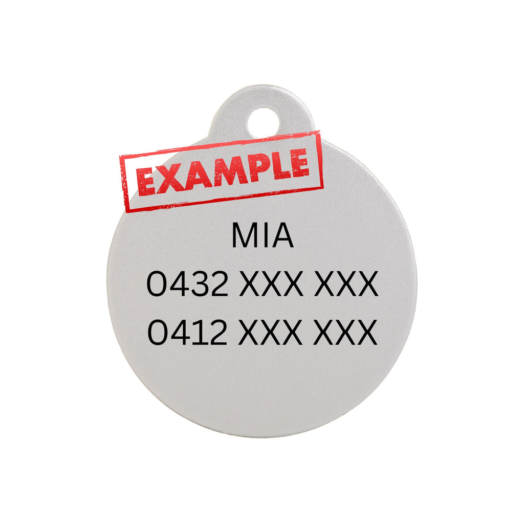 Engraved Pet ID Tag Example