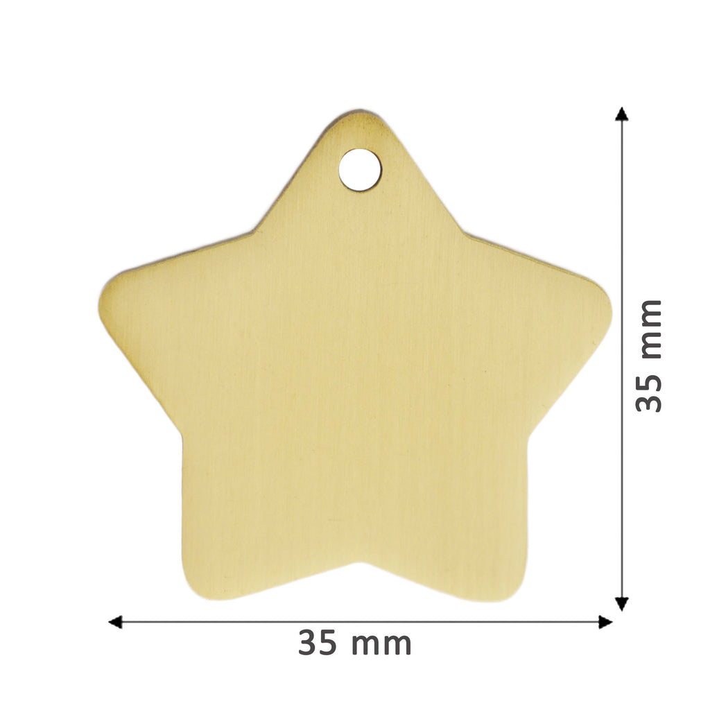 Brass Star Pets Tag