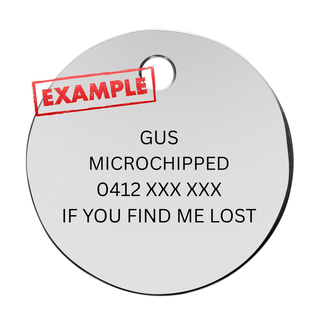 Pet ID Tag Engraved Example