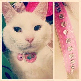Pet ID Tag with Pink Glitter and Hearts