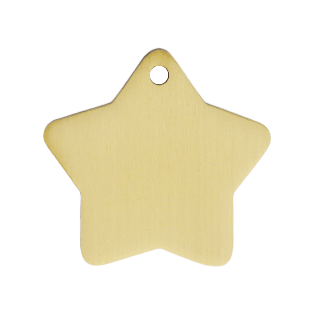 Brass Star Pets Tag